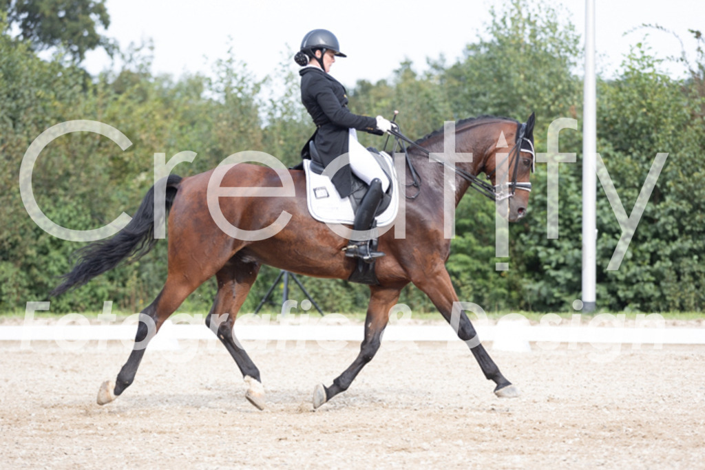 IMG_4590 | Creatify Fotografie