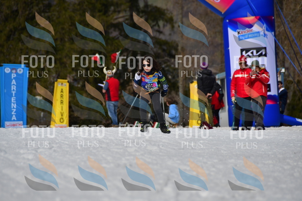 _DSC0872 | holidayphoto