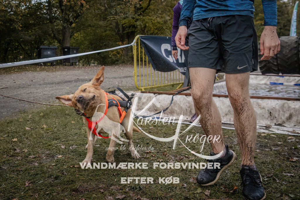 1649_ZZ94213 | kk-dogfotos