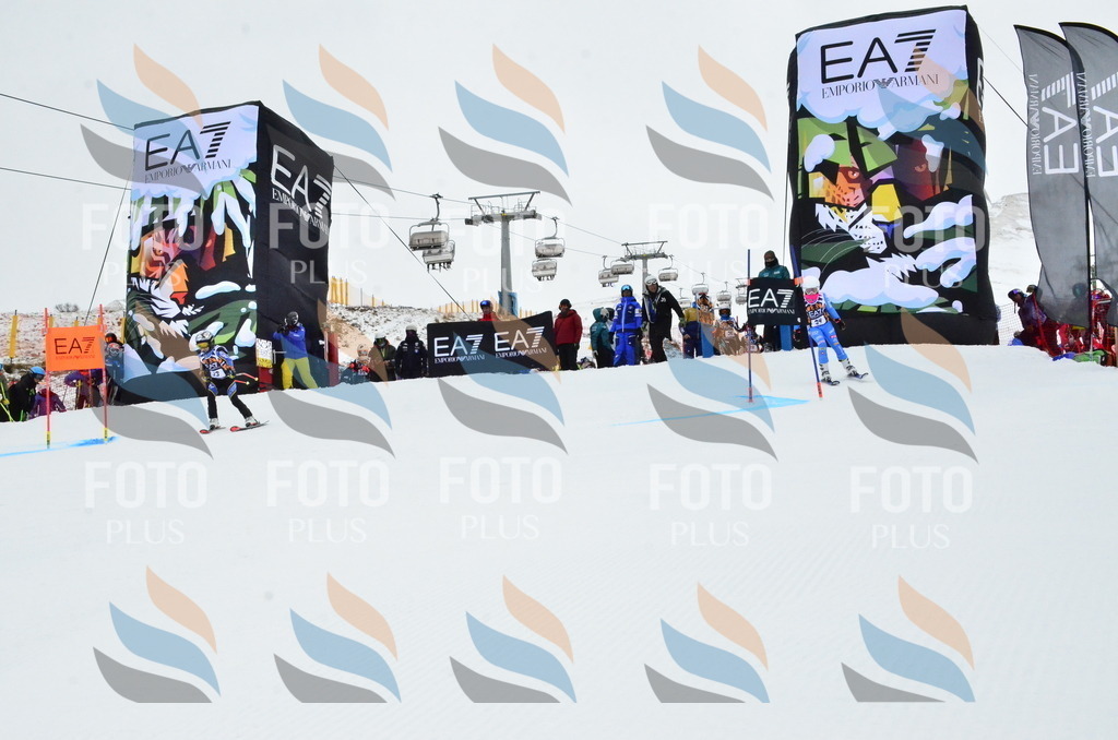 _ELE3293 | holidayphoto