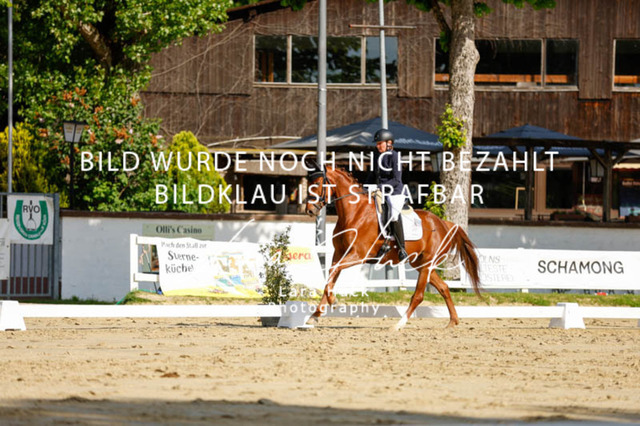 _62_2343 | larahueckfotografie