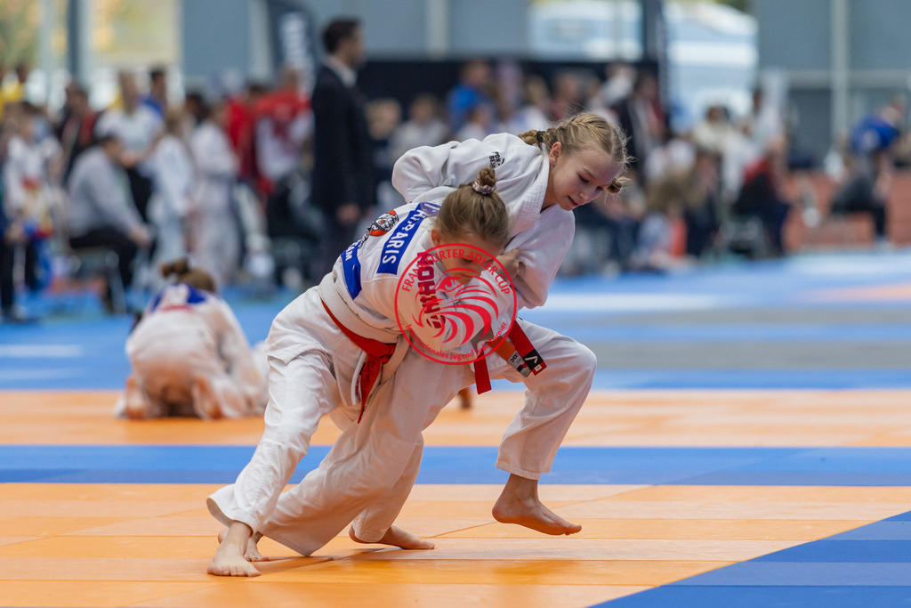 Internationaler Adler Cup 2024 | Foto vom Internationalen Adler Cup Judo Turnier im Sport- und Freizeitzentrum Kalbach im Oktober 2024 - Realisiert mit Pictrs.com