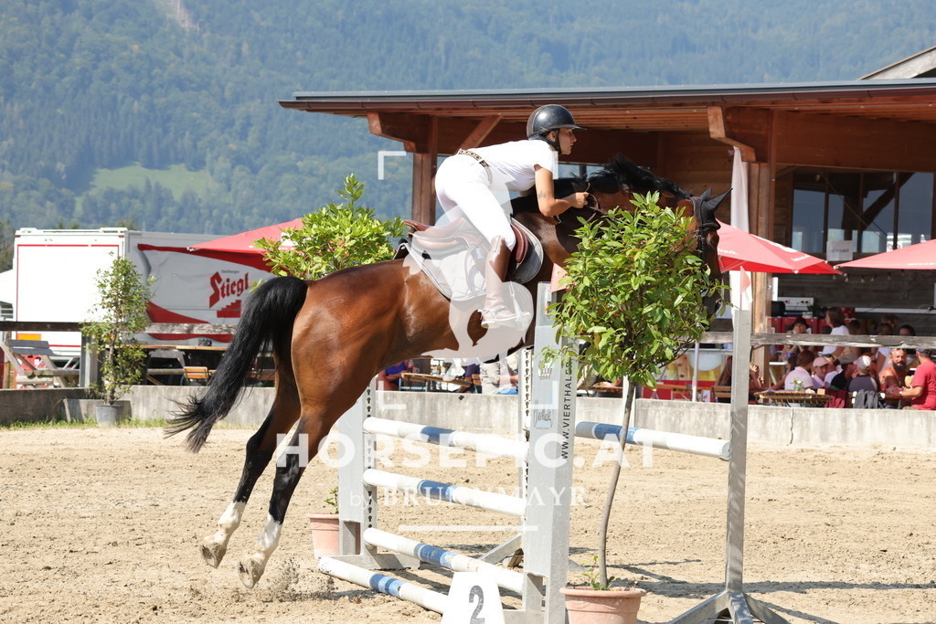 0P6A8418 | Willkommen bei Brunnmayr - Design & Fotografie – Ihrem Spezialisten für Reitturniere und Pferdeveranstaltungen in Oberösterreich, Salzburg und Bayern! Seit über 17 Jahren sind wir leidenschaftlich dabei.