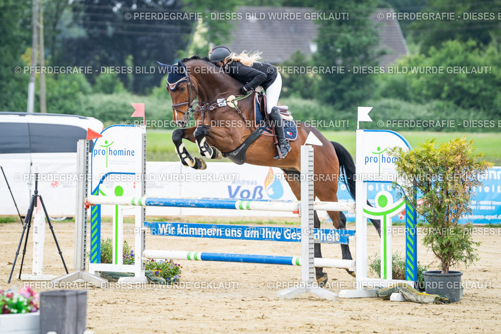 DSC03357 | Pferdegrafie