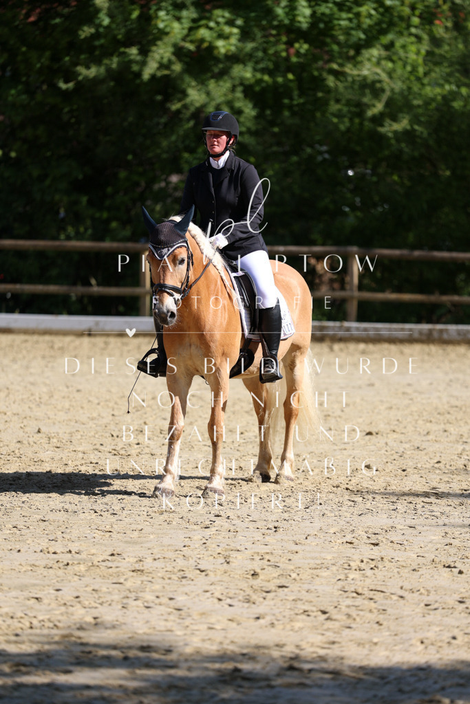 IMGT0009 | pl-fotografie