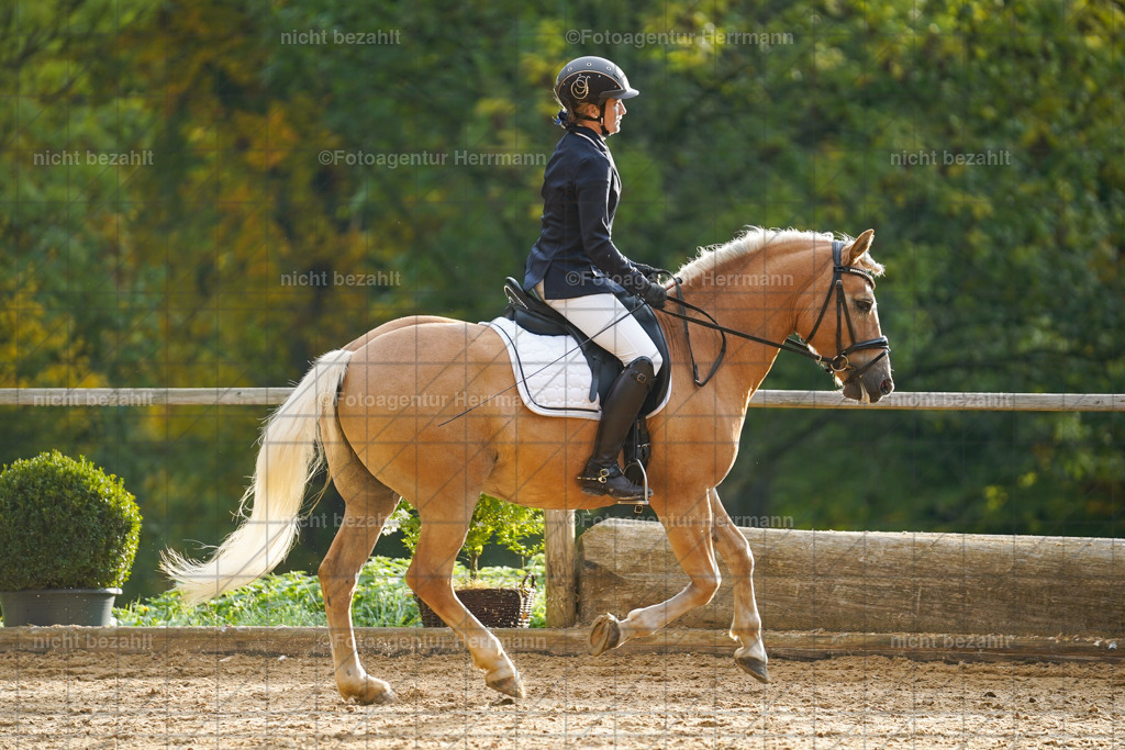 20221008-FAH00801 | Diessen am Ammersee, 2022, Dressur- und Springturnier, Reitsportbilder, Turnierfotografen Bayern, Pferdefotografen, Fotoagentur Herrmann, Turnierbilder