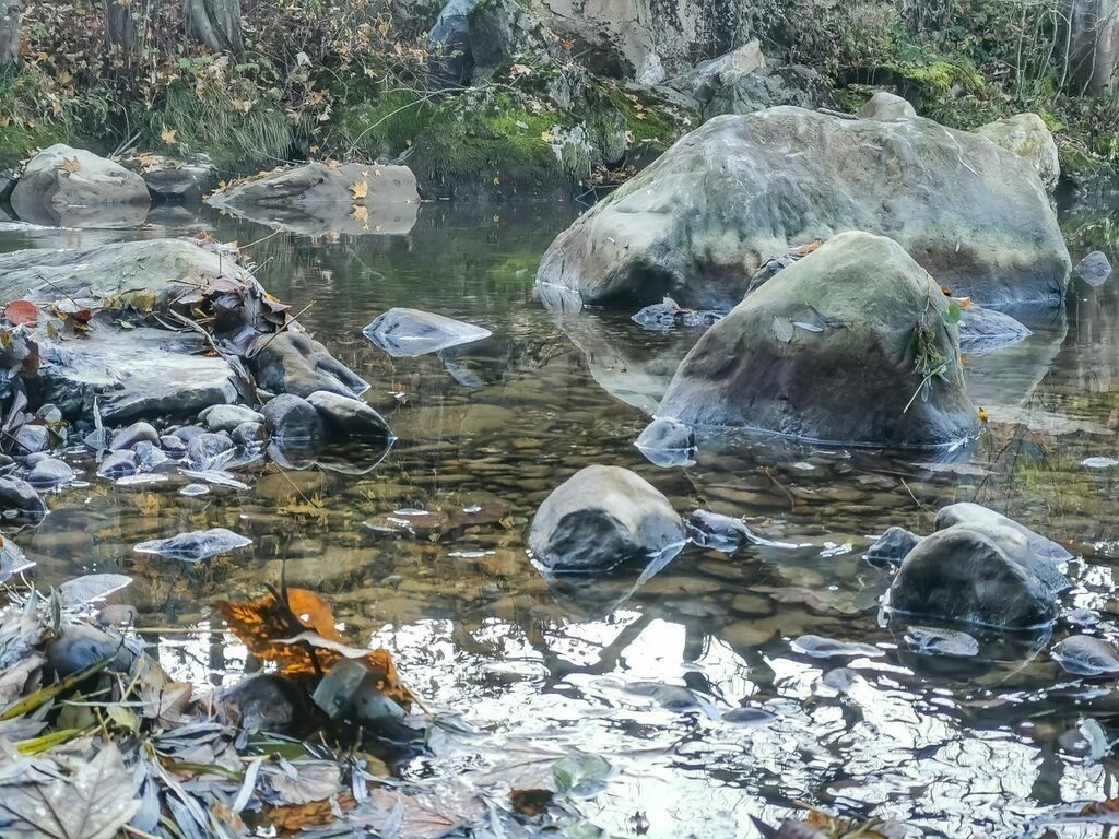 PSX_20211030_225107 | mtkfoto_ - Realisiert mit Pictrs.com