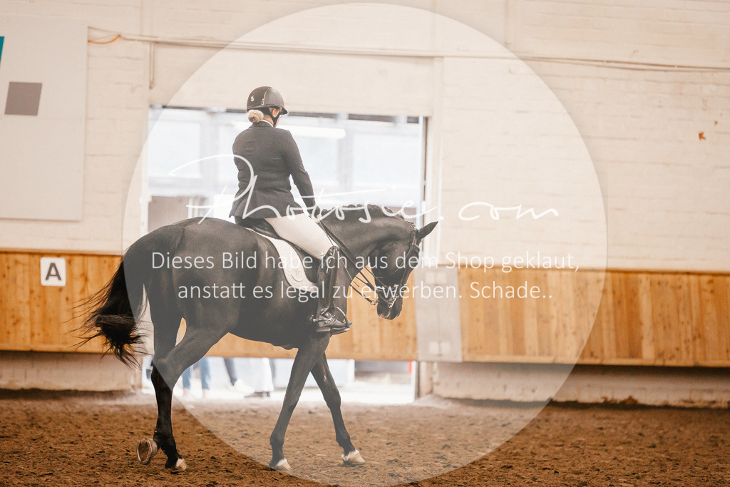 3I6A2909 | Stimmungsvolle Portraits und Reitsportfotografie im Ruhrgebiet und im Münsterland.

Pferdefotografie, Hundefotografie, Tierfotografie, Reportagen, Portraits von Tier und Mensch, Turnierfotografie in Bochum, Recklinghausen, Marl, Haltern am See, Dülmen.. - Realisiert mit Pictrs.com