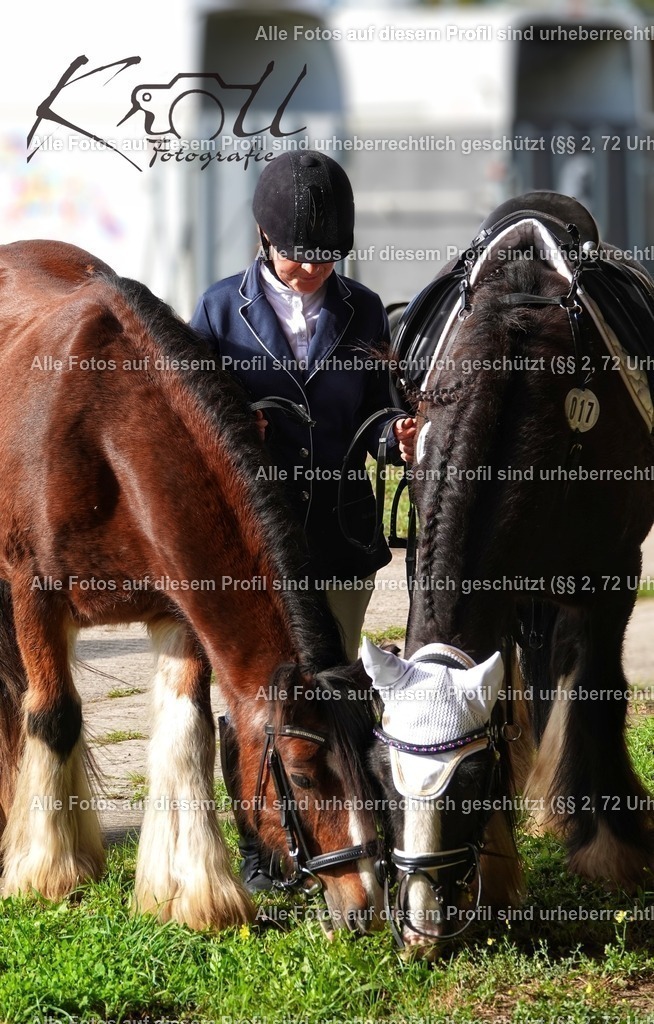 Photo_1697307889597 | krollfotografie - Realisiert mit Pictrs.com