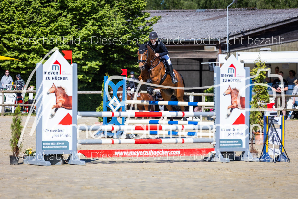 Donop24-A2Spr-095 | MomenTaufnahmen Pferdesportfotos