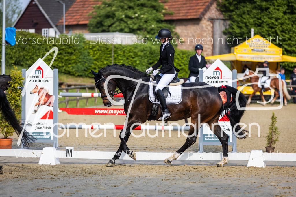 Donop24-A-Dre-068 | MomenTaufnahmen Pferdesportfotos