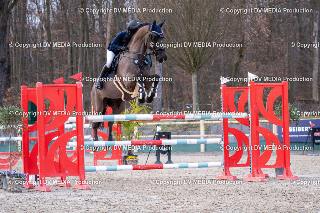 Kranichstein Tag 2-2361 | dv-media-shop - Realisiert mit Pictrs.com