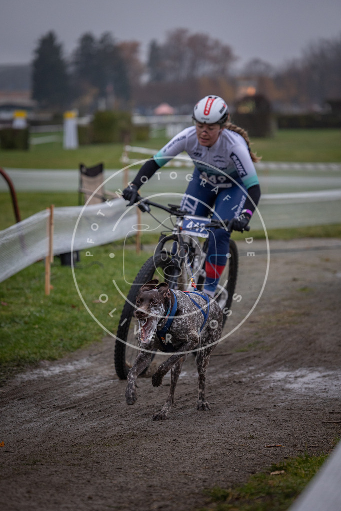CaniXpix_0L8A1507 | Hundefotografie, Tierfotograf, Pfotenfotografie, Fotoshooting Hund, Hunde Portrait, Hundesport, Hundeportraits, Heideshooting, Hunde, Sportfotograf, Hundefotograf, Turnierhundsport, THS,  - Realisiert mit Pictrs.com