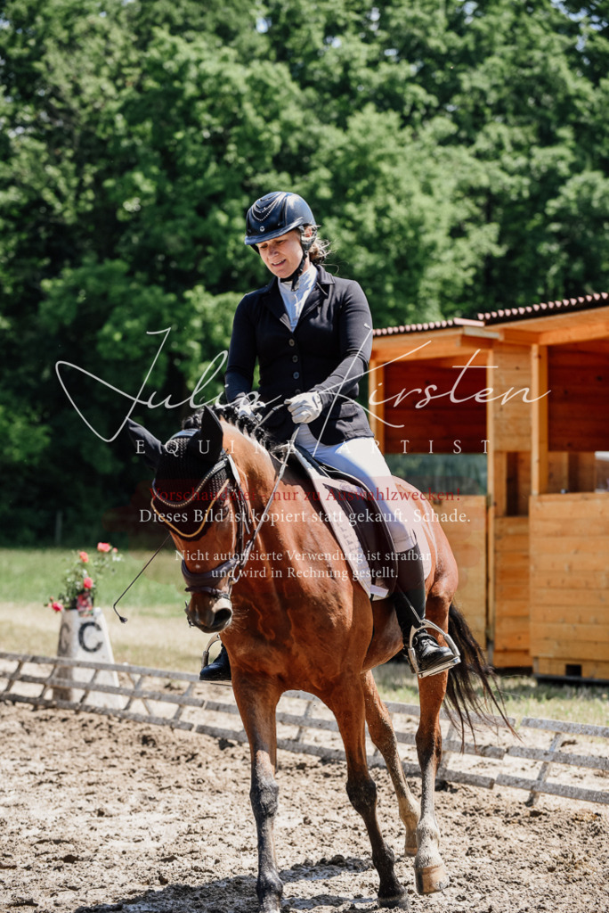 DSC_1870 | Pferde- und Turnierfotografie in Westsachsen. Pferdeportraits, Auftragszeichnungen und intuitive Kunst.
