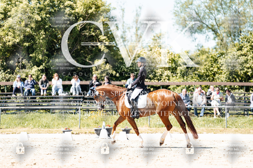 CK905314 | Turnierfotografie Pferdefotografie Trier Rheinland-Pfalz Pferdesport Reitsport Tierfotografie Sportfotografie Pferdevideo Pferdevideografie Equestrianvideography equestrianphotography  - Realisiert mit Pictrs.com
