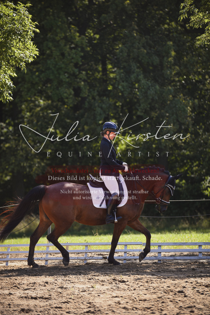 DSC_0373 | Pferde- und Turnierfotografie in Westsachsen. Pferdeportraits, Auftragszeichnungen und intuitive Kunst.