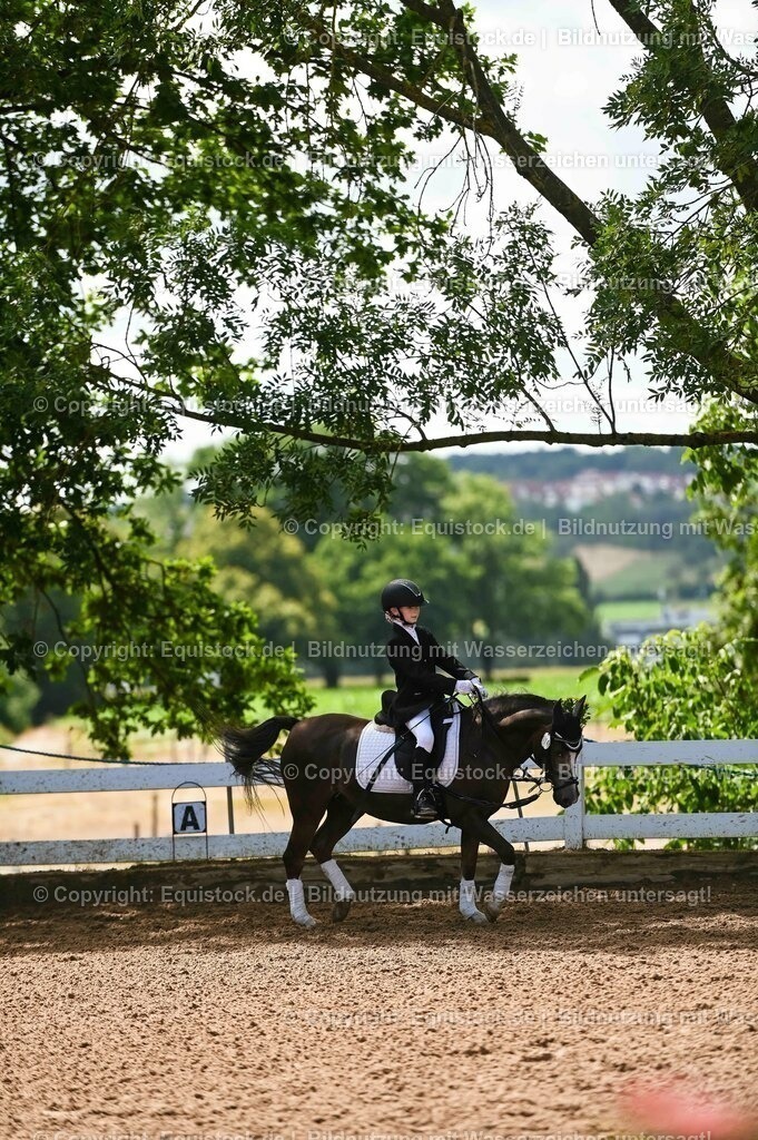 20230716_10-3_Reiter-WB Schritt - Trab - Galopp_0078 | equistock