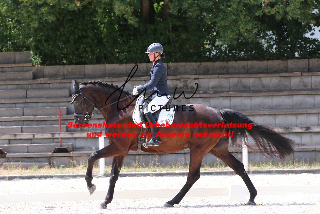 IMG_4807 | lmwpictures - Realisiert mit Pictrs.com