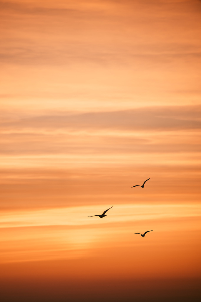 LDF_5663 | Du suchst natürliche und atmosphärische Prints oder Leinwanddrucke? In diesem Shop gibt es alles, nur kein Mainstream. - Realisiert mit Pictrs.com