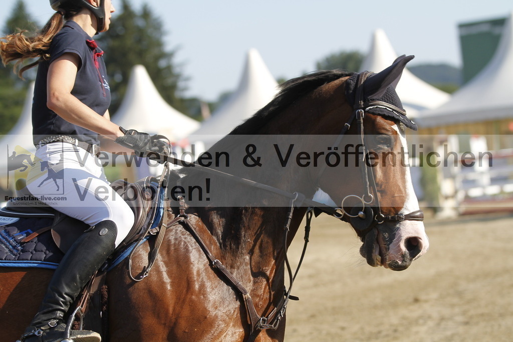 _MG_6743 | equestrian-live-com