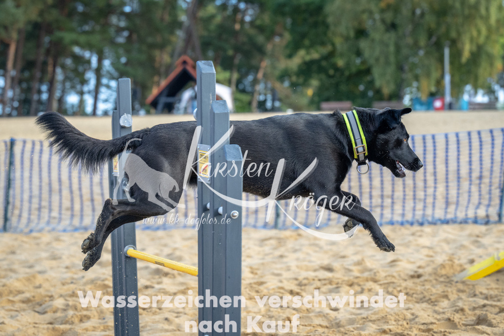 0903_ZZ91777 | kk-dogfotos