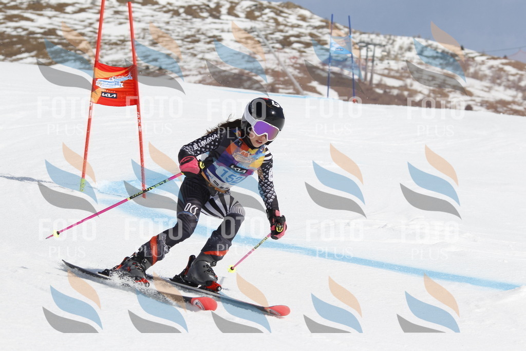 _U3G1269 | holidayphoto