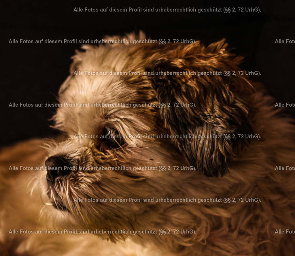 20240223211508_0C4A1773_2-01_2 | krollfotografie - Realisiert mit Pictrs.com