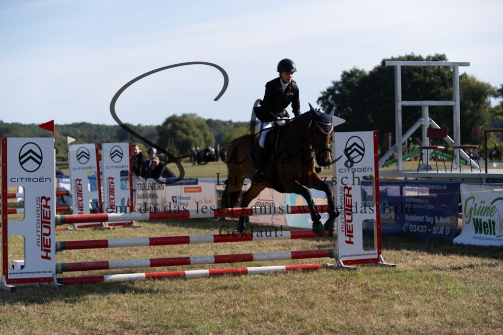 A7V08292 | Pferdefotograf