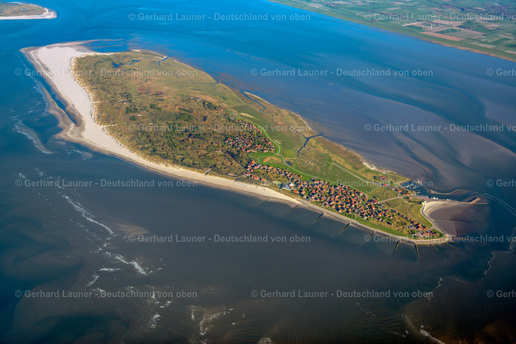 3801442 | Baltrum, Nationalpark Niedersaechsisches Wattenmeer