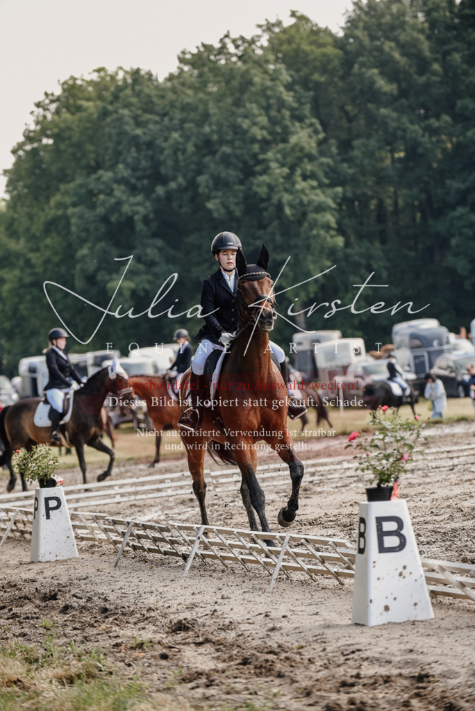 DSC_8047 | Pferde- und Turnierfotografie in Westsachsen. Pferdeportraits, Auftragszeichnungen und intuitive Kunst.