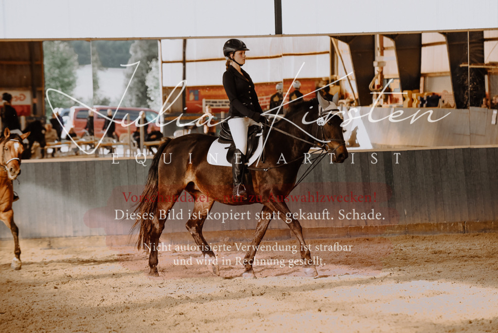 DSC_7556 | Pferde- und Turnierfotografie in Westsachsen. Pferdeportraits, Auftragszeichnungen und intuitive Kunst.