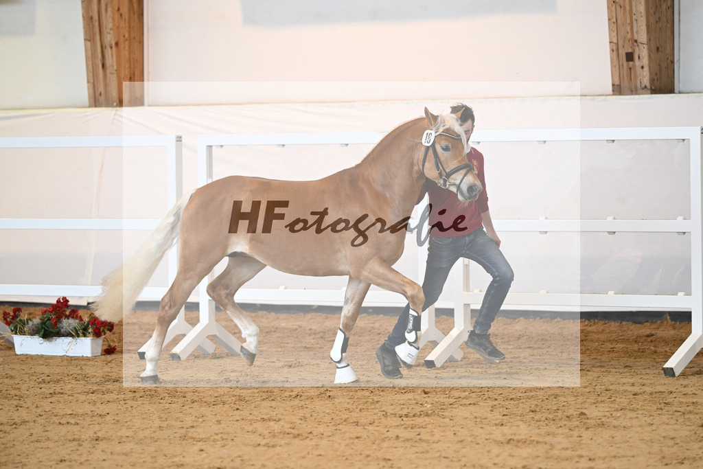 Kat-Nr. 18 v. Akitano_Mueller_2230291 | hf-fotografie - Realisiert mit Pictrs.com