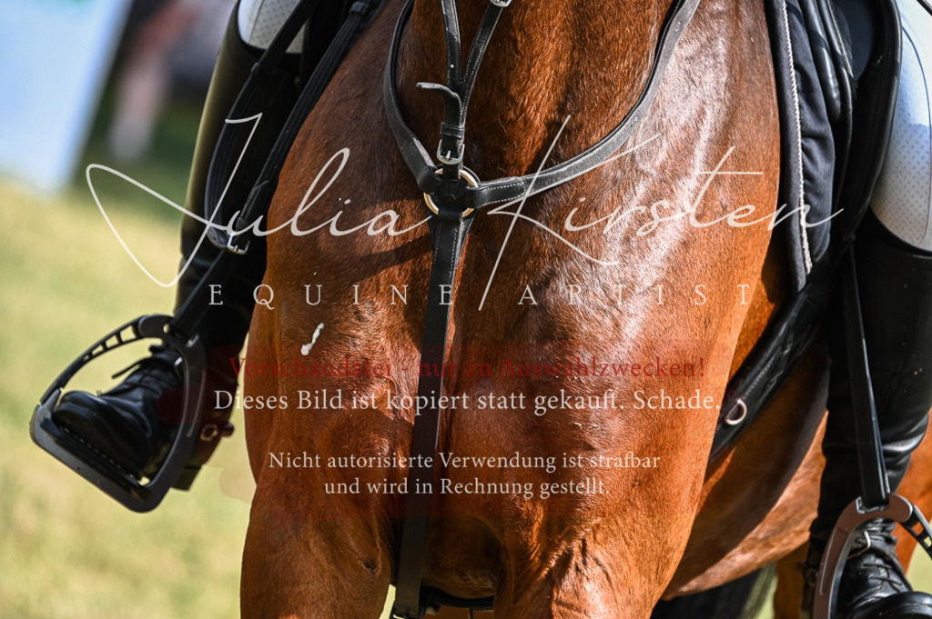 DSC_8385 | Pferde- und Turnierfotografie in Westsachsen. Pferdeportraits, Auftragszeichnungen und intuitive Kunst.