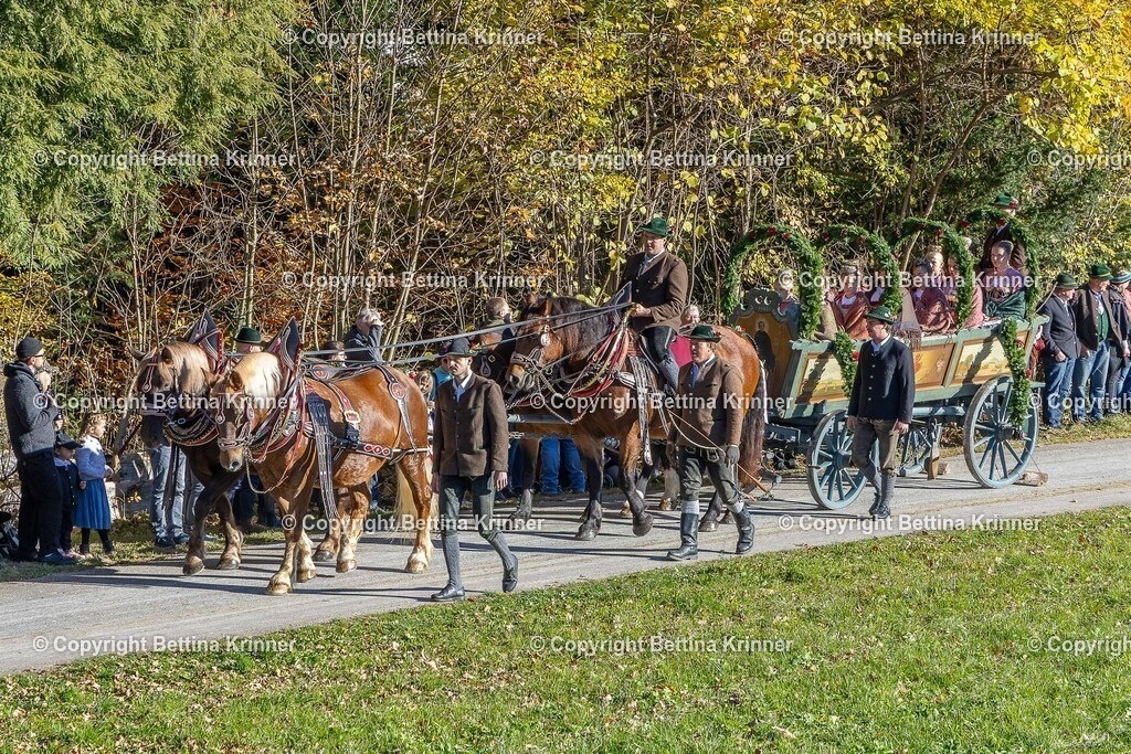 LBT25-459 | foto-bettina-krinner - Realisiert mit Pictrs.com