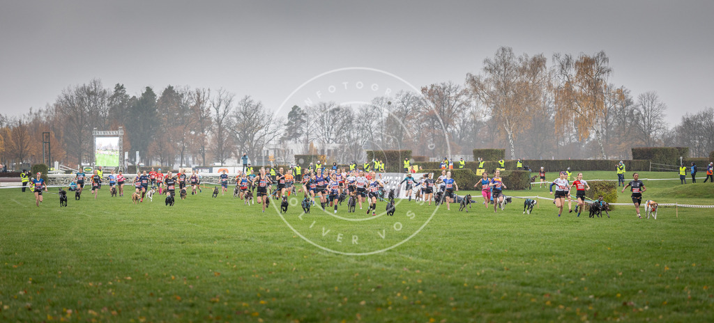 CaniXpix_DV3A8697 | Hundefotografie, Tierfotograf, Pfotenfotografie, Fotoshooting Hund, Hunde Portrait, Hundesport, Hundeportraits, Heideshooting, Hunde, Sportfotograf, Hundefotograf, Turnierhundsport, THS,  - Realisiert mit Pictrs.com
