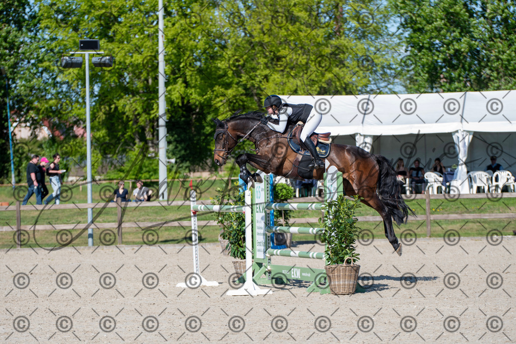 KPT_1711 | andre_photographic