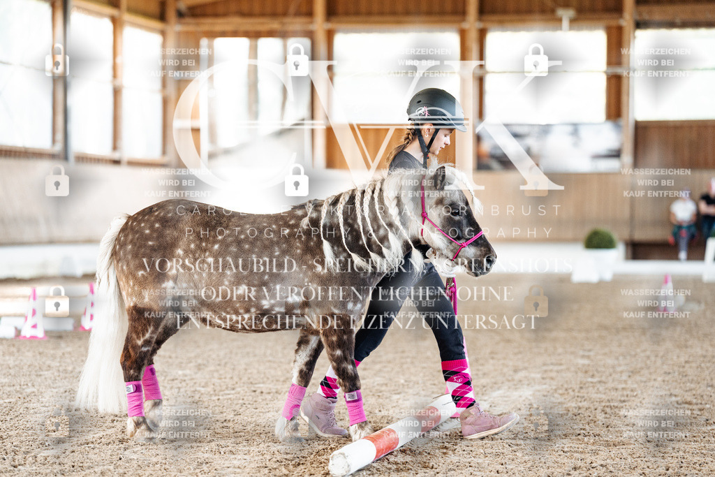 CK905300 | Turnierfotografie Pferdefotografie Trier Rheinland-Pfalz Pferdesport Reitsport Tierfotografie Sportfotografie Pferdevideo Pferdevideografie Equestrianvideography equestrianphotography  - Realisiert mit Pictrs.com
