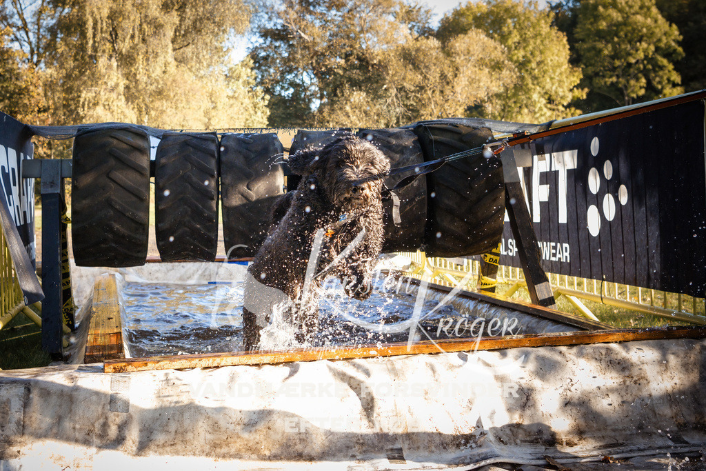 0922_ZZ90721 | kk-dogfotos