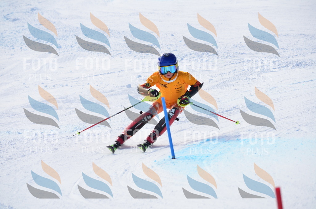 C8742 | holidayphoto