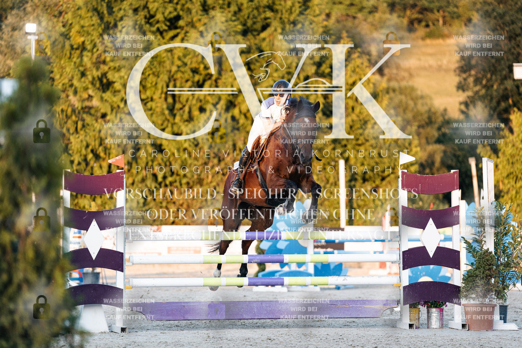 CK901261 | Turnierfotografie Pferdefotografie Trier Rheinland-Pfalz Pferdesport Reitsport Tierfotografie Sportfotografie Pferdevideo Pferdevideografie Equestrianvideography equestrianphotography  - Realisiert mit Pictrs.com