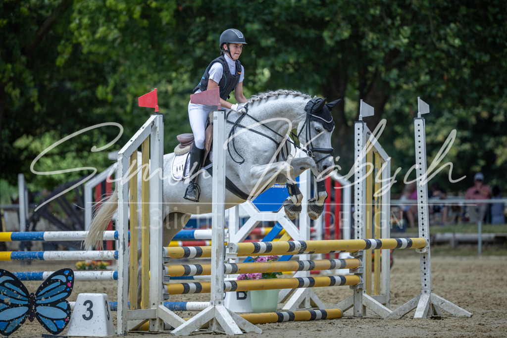 20260704-_3LI8870 | Tierfotografie Pferde, Hunde, Katzen, Haustiere.
Turnierfotografie Reitturniere, Reiten, Springreiten, Dressur in Hanau, dem Main-Kinzig-Kreis und dem Rhein-Main- Gebiet um Frankfurt