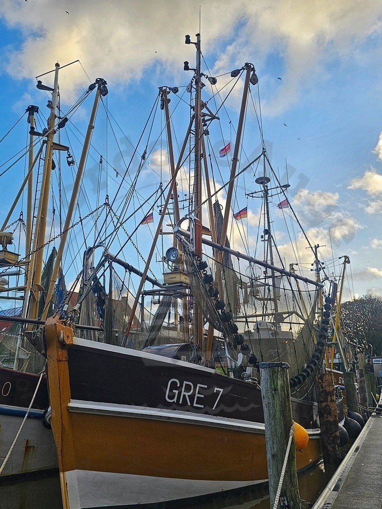 Nordsee Momente pur Nordseeküste Naturaufnahmen  | Nordsee in all ihrer Natürlichkeit  - Realisiert mit Pictrs.com