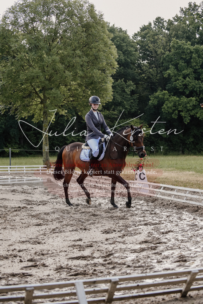 DSC_8301 | Pferde- und Turnierfotografie in Westsachsen. Pferdeportraits, Auftragszeichnungen und intuitive Kunst.