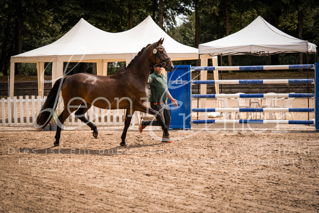 2. Fr00036 | Leoni Ertmer Photography - Realisiert mit Pictrs.com