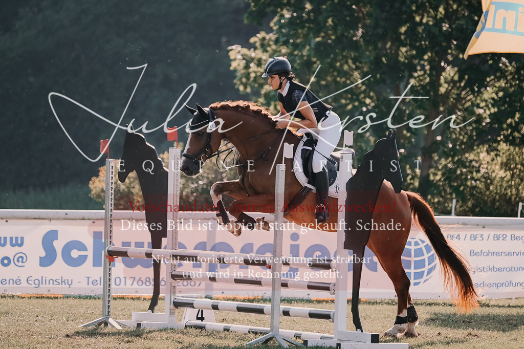DSC_4643 | Pferde- und Turnierfotografie in Westsachsen. Pferdeportraits, Auftragszeichnungen und intuitive Kunst.