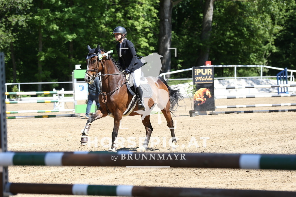 DL2Q1773 | Willkommen bei Brunnmayr - Design & Fotografie – Ihrem Spezialisten für Reitturniere und Pferdeveranstaltungen in Oberösterreich, Salzburg und Bayern! Seit über 17 Jahren sind wir leidenschaftlich dabei.