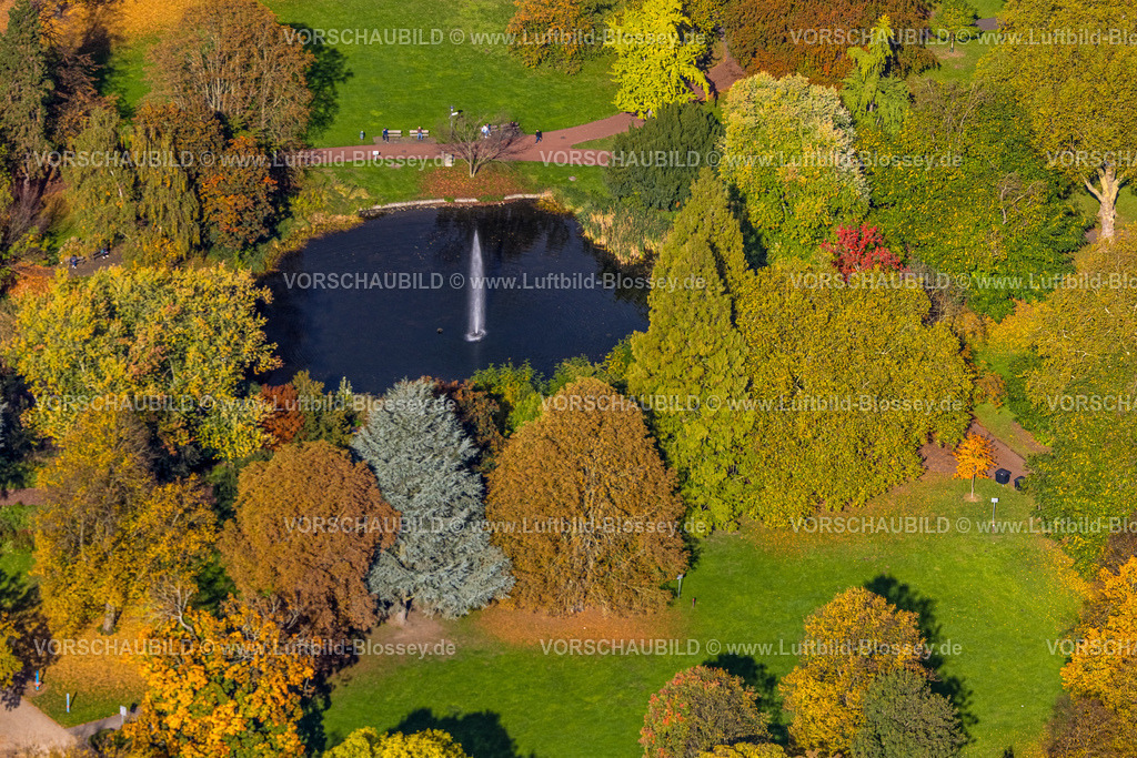 Essen251003155Mitte | Luftbild, Fontäne und See im Stadtgarten mit herbstlichen Bäumen, Südviertel, Essen, Ruhrgebiet, Nordrhein-Westfalen, Deutschland