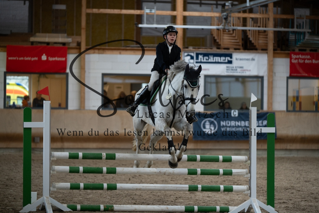 A7V00563 | Pferdefotograf