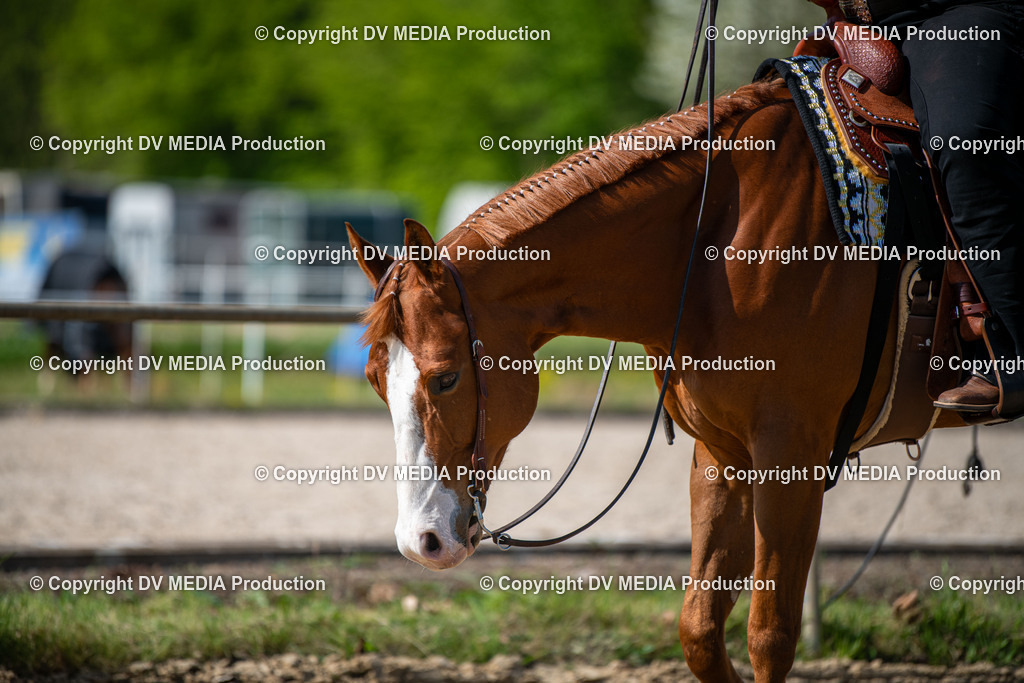 Heiligenwald Tag 2-857 | dv-media-shop - Realisiert mit Pictrs.com