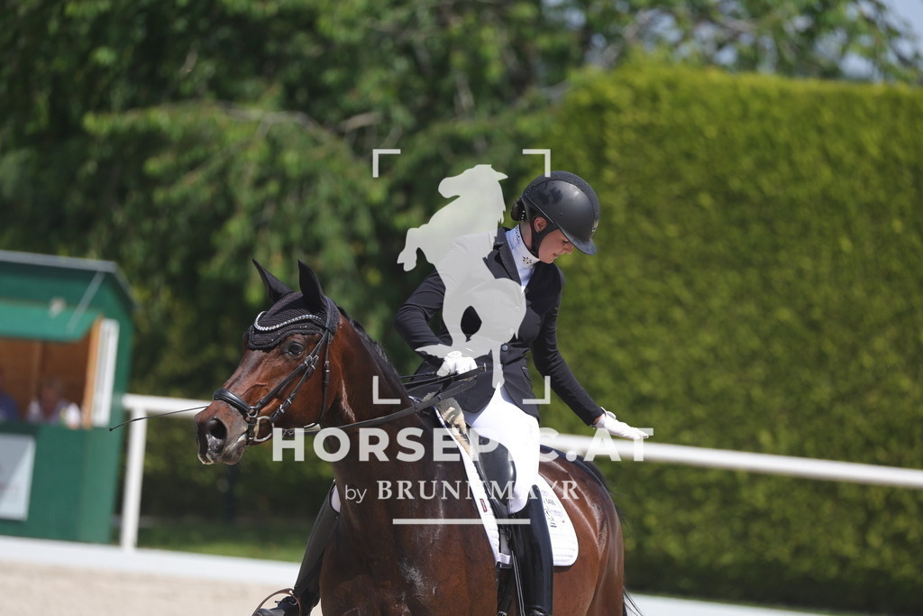 0P6A6201 | Willkommen bei Brunnmayr - Design & Fotografie – Ihrem Spezialisten für Reitturniere und Pferdeveranstaltungen in Oberösterreich, Salzburg und Bayern! Seit über 17 Jahren sind wir leidenschaftlich dabei.